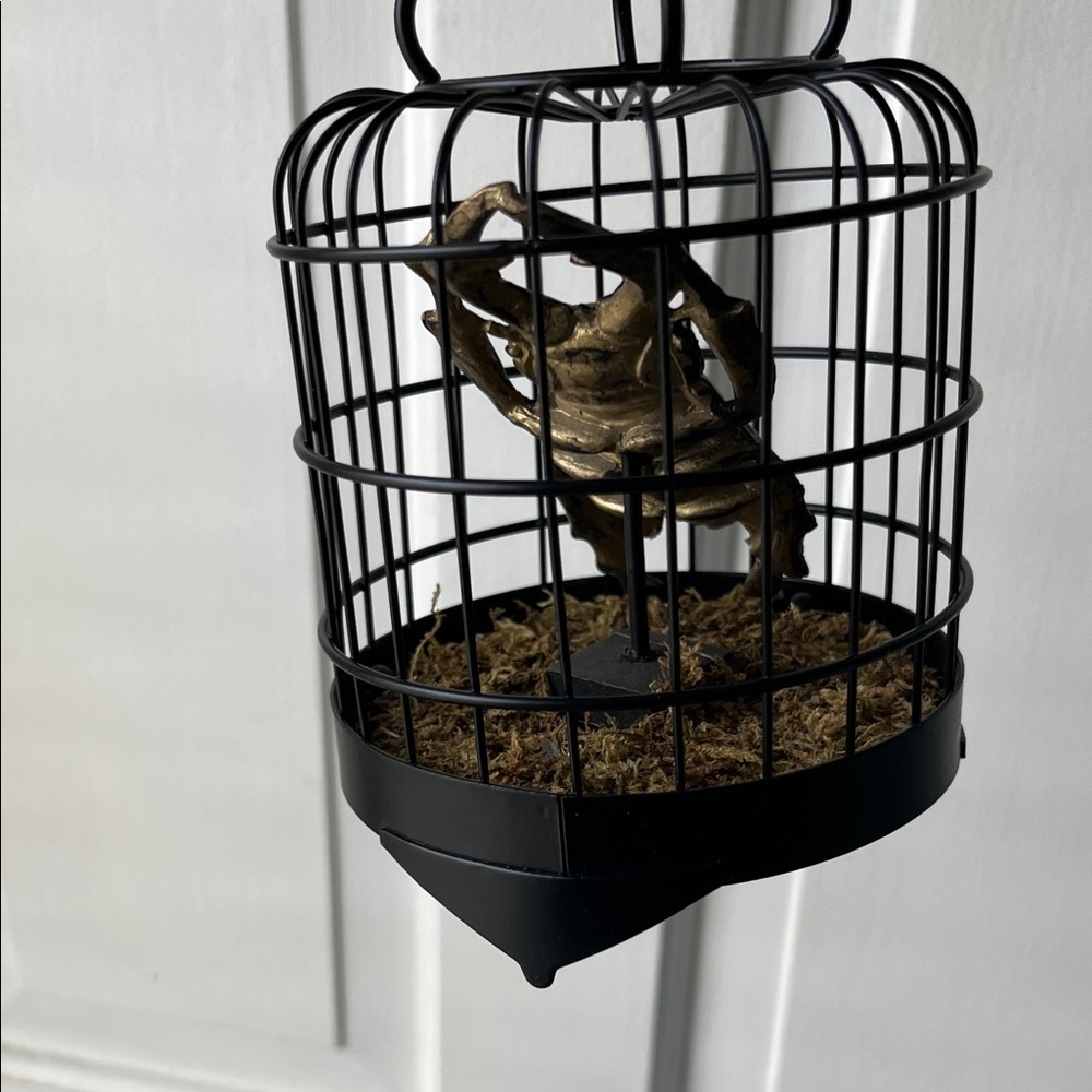 Black Wire Birdcage w/ Gold/Green Scarab Beetle Dark Academia Gothic Decor - Picture 6 of 8
